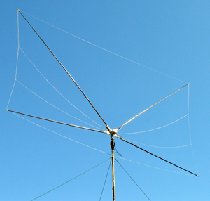 Antena Kocie Wsy