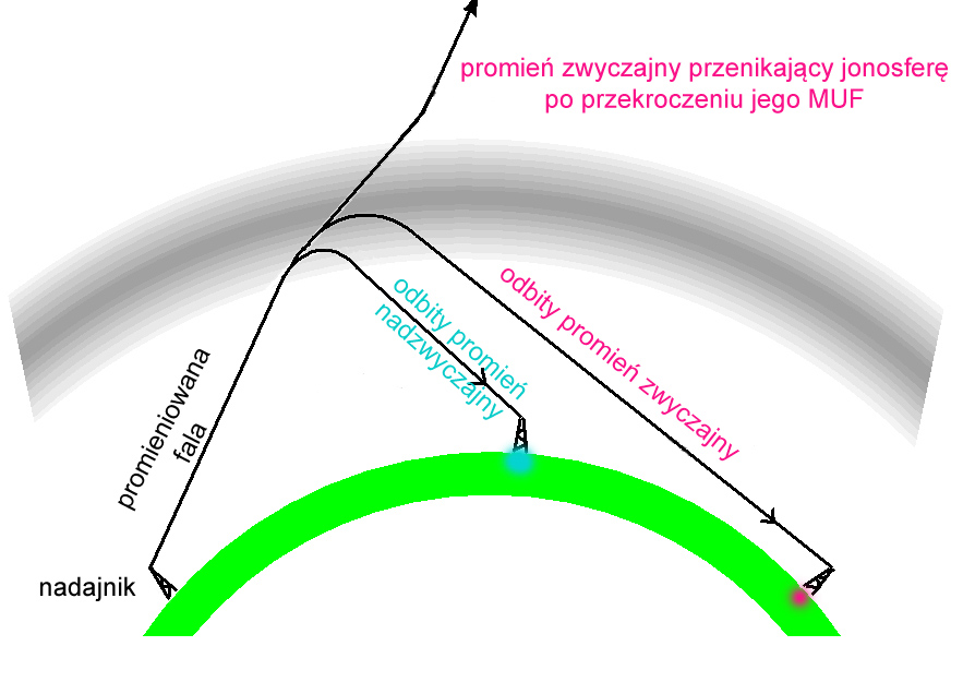 Fale Radiowe Znalazły Zastosowanie M In W Gps I Mikrofalówkach Świat Radio - Fale radiowe w jonosferze